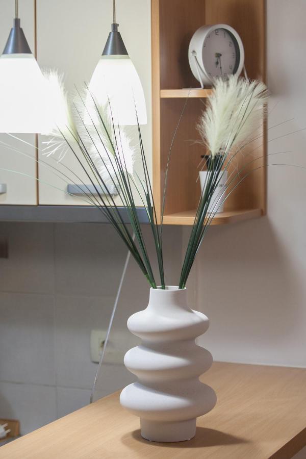 City Nest Apartment Podgorica Kültér fotó